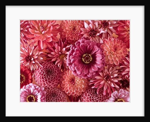 Mixed flowers by Assaf Frank